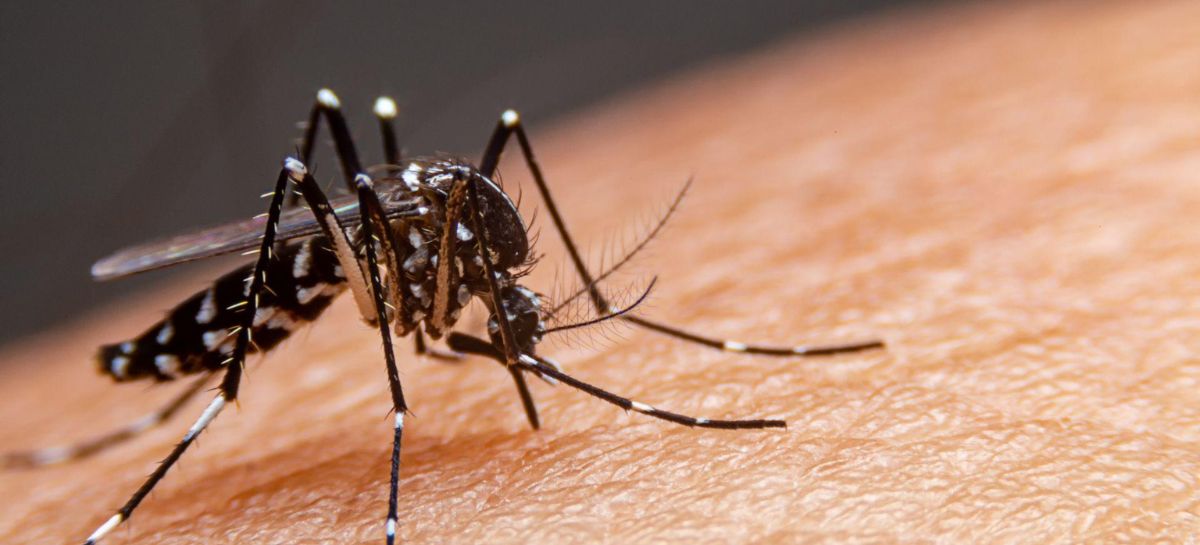 Más de 3000 casos de dengue acumula Honduras en lo que va del 2026