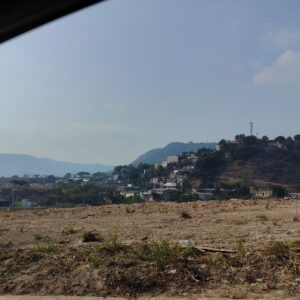 Ola de calor