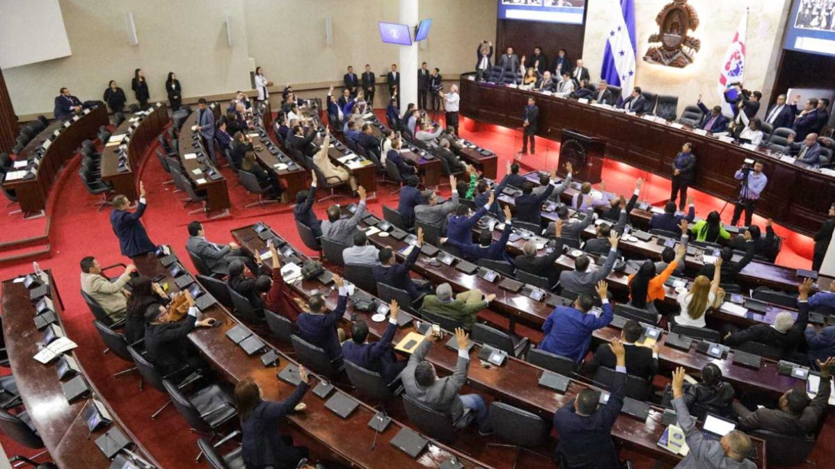 Congreso Nacional destituye a funcionarios electorales tras juicio político