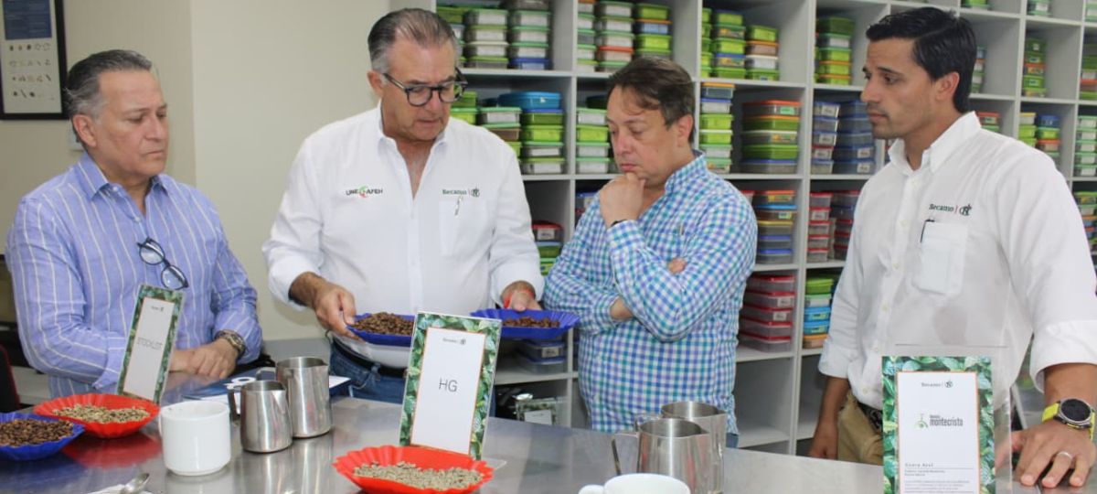 Honduras impulsa sector cafetalero con innovación y desarrollo sostenible