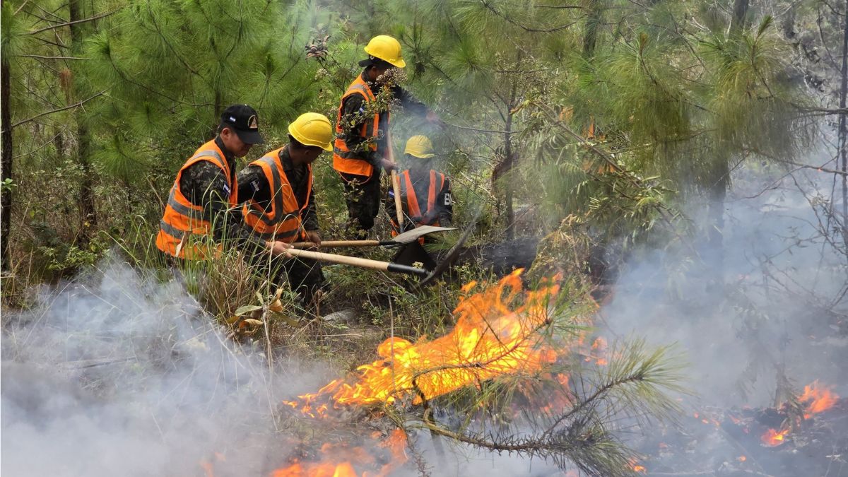 Incendios forestales arrasan 16,500 hectáreas de bosque en Honduras en 2026