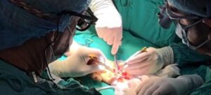 Brigada quirúrgica de mano 