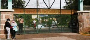 Angiógrafo Hospital El Tórax