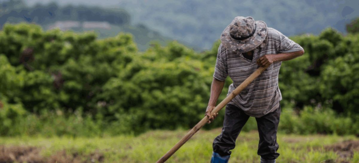 INA fortalece diálogo con organizaciones campesinas en el oriente del país