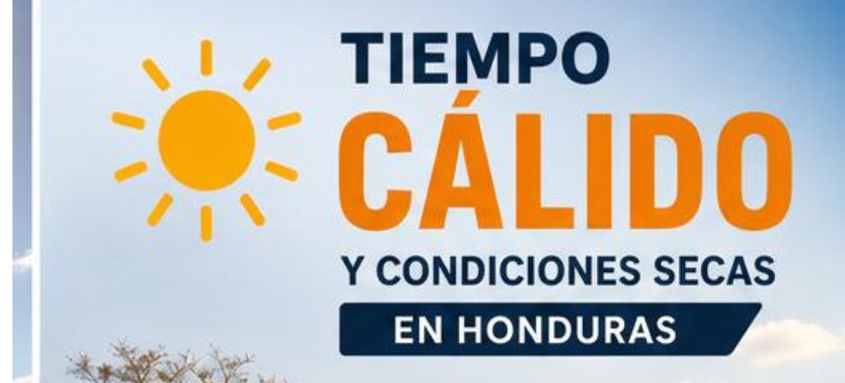 Estado del tiempo