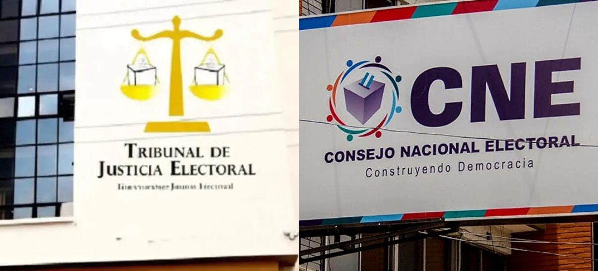 Proceso de selección