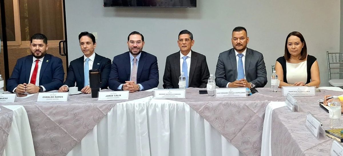 Anteproyecto Ley del Consejo la Judicatura