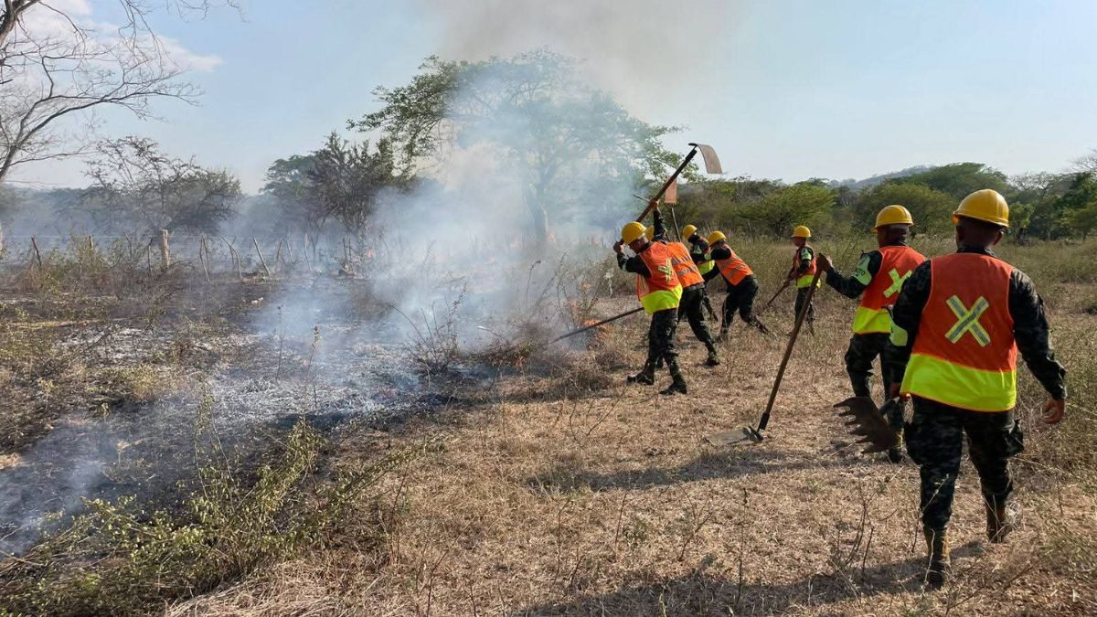 Fuerzas Armadas combate incendios forestales en diferentes sectores del país