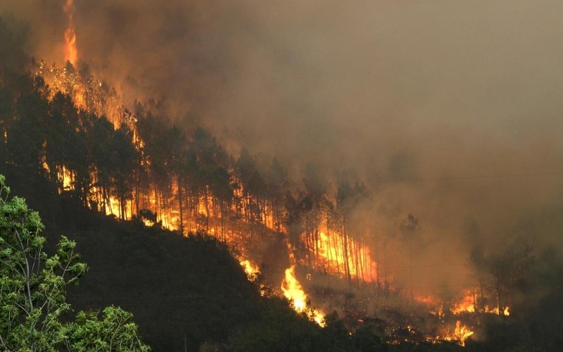 Altas temperaturas y escasez de agua favorecen incendios forestales en Honduras