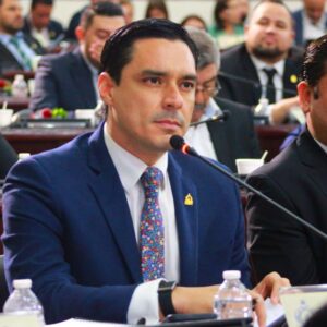Kilvett Bertrand comisión Defensa y Seguridad