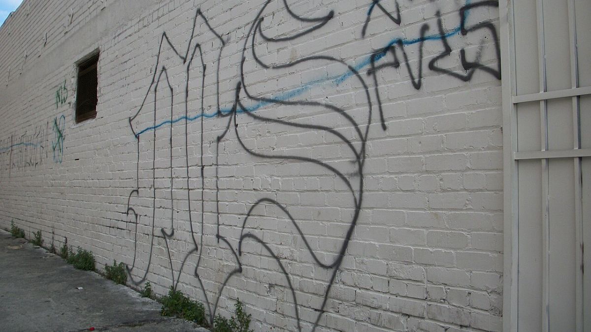 Estados Unidos reafirma a la Mara Salvatrucha (MS-13) como organización terrorista