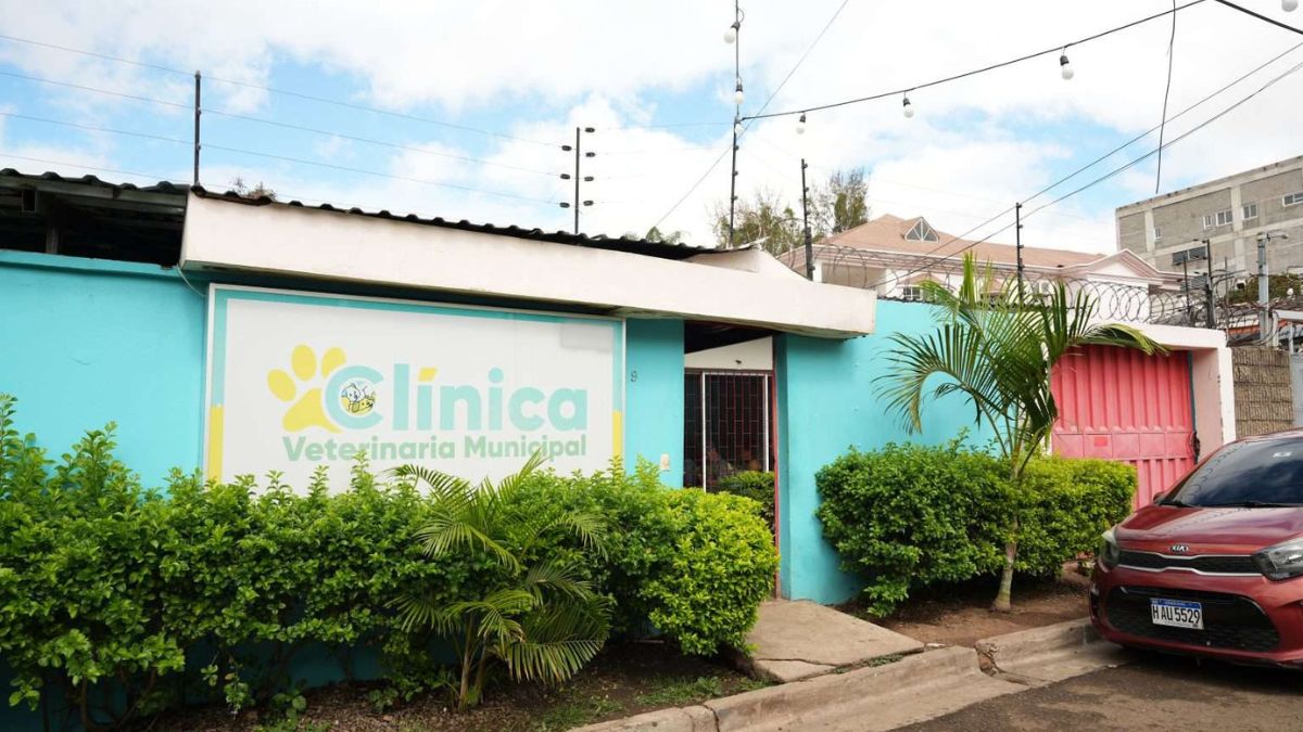 Clínica veterinaria municipal llevará servicios móviles a barrios de Tegucigalpa