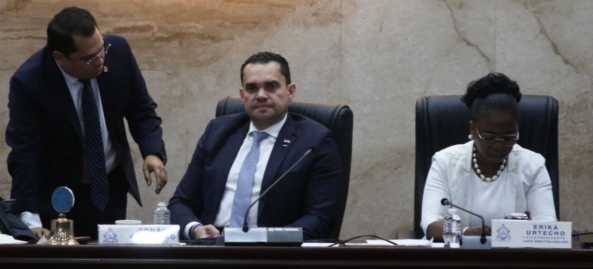Presidente del Congreso Nacional