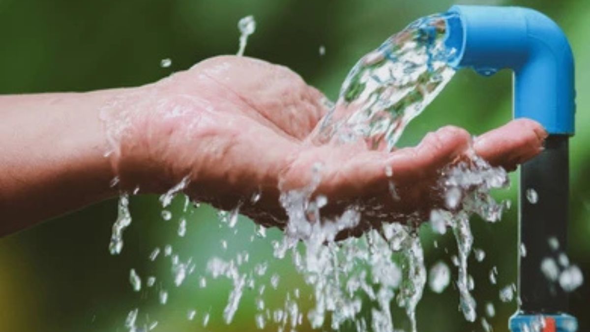 UMAP trabaja en soluciones para fortalecer el abastecimiento en la capital