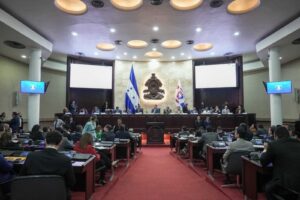 Sesión de parlamentarios