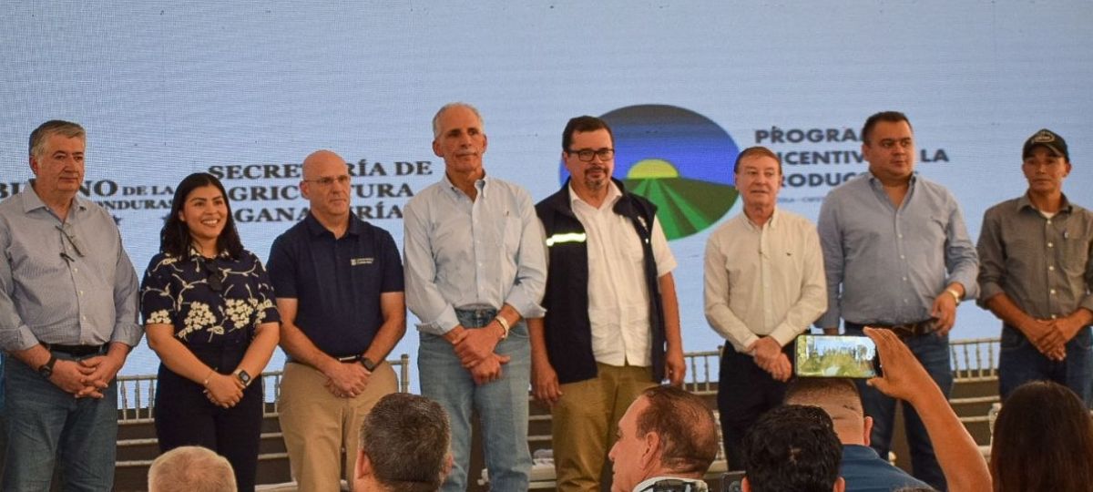 Programa Incentivos a la Producción Agrícola