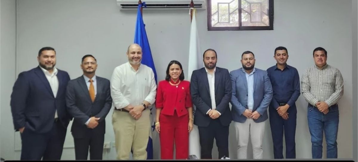 Anuncian la coordinación del levantamiento aéreo territorial del país