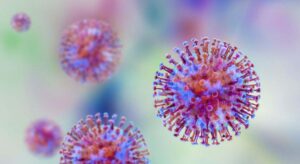virus