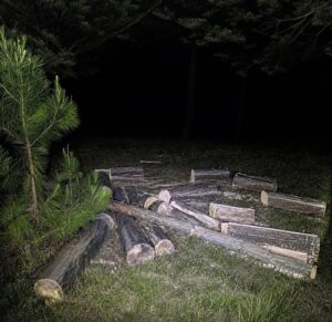 Operativos contra delitos ambientales