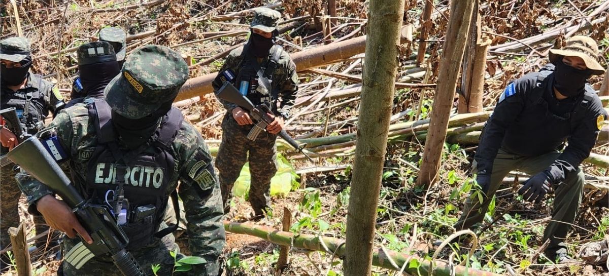 Agentes de las Fuerzas Armadas