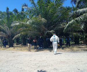 Investigacion