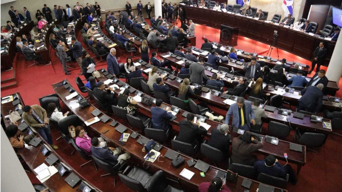 Congreso Nacional nombra comisión especial para iniciar juicio político contra funcionarios del CNE y TJE