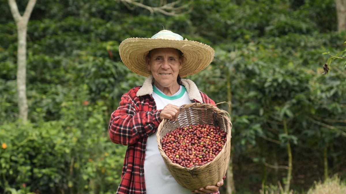 Gobierno busca impulsar exportación de café producido por mujeres