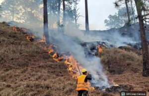 Fuerzas Armadas de Honduras