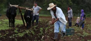 Productores