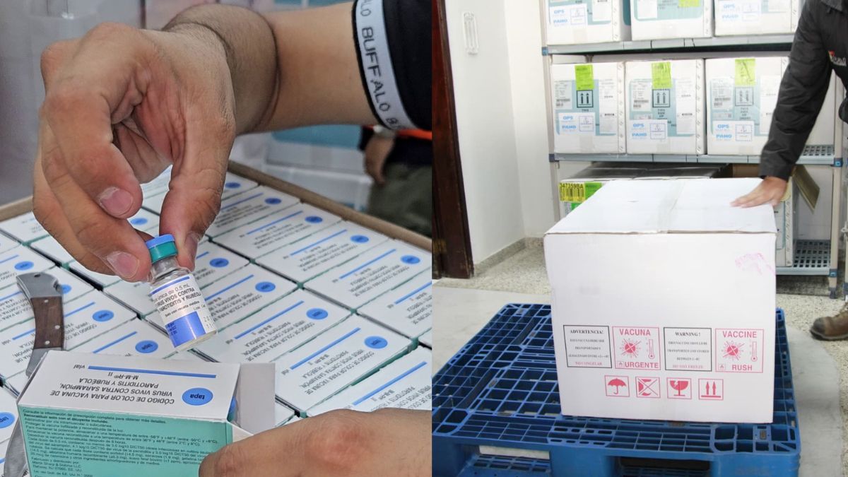 Salud recibe más de 780 mil dosis de vacunas para jornada nacional 2026